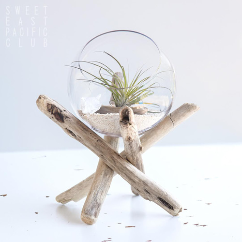 流木フラワースタンド アロマスタンド