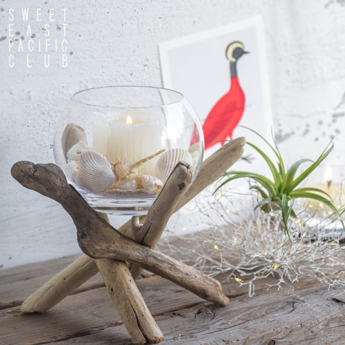 大きめのガラスボールと流木のディスプレイスタンド・花瓶・小物入れ