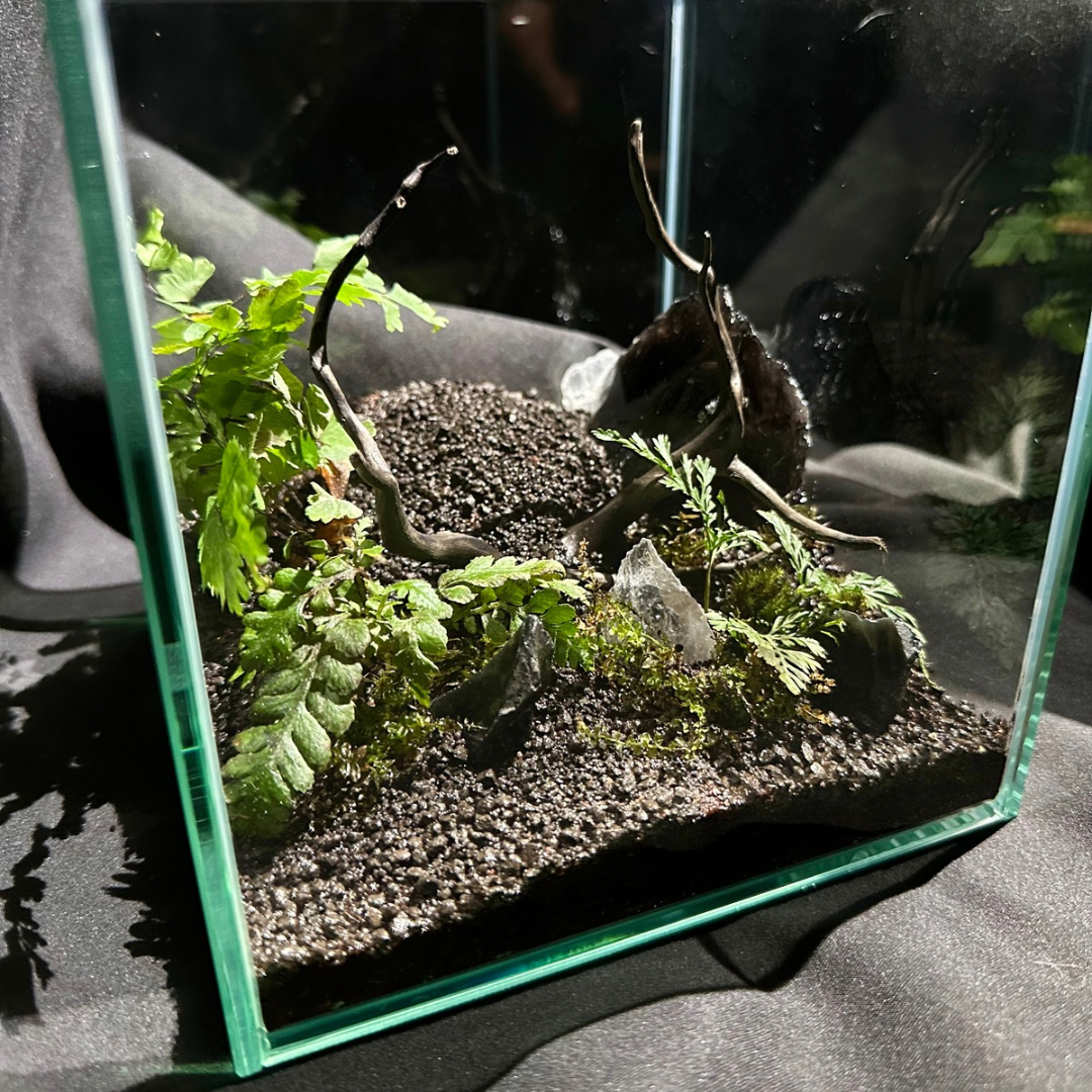 【一点物】アートテラリウム〜宙景〜「在り様」(完成品・フタ付き)約15cm