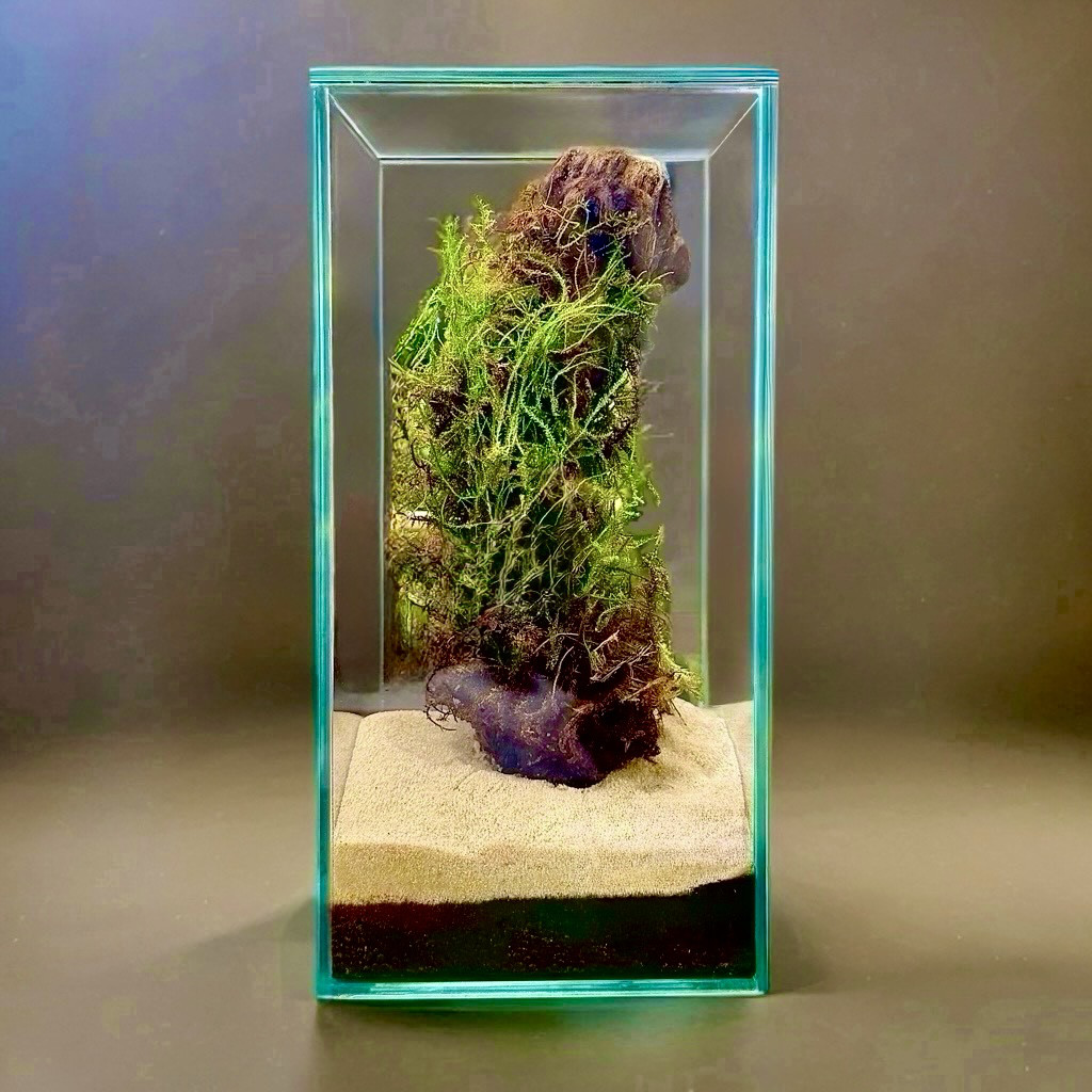 ［苔のコロニー］苔の流木アート茂みを育てる清潔水やり少なめok育てやすい愛着が湧くアーティスティックかっこいいクール最新