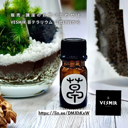 苔のコロニー］苔の流木アート茂みを育てる清潔水やり少なめok育て
