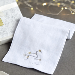 【選べるイニシャル】星空の刺繍ポーチ & 十二星座の刺繍ハーフハンカチのセット【名入れ可】今治タオル コットン ギフト 13枚目の画像
