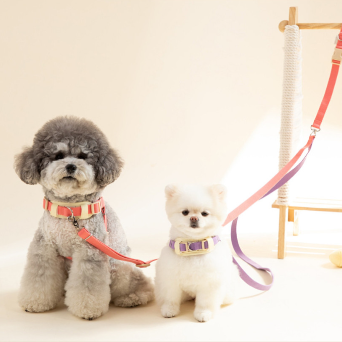 【３M・ショッルダリード】絡まない2頭引きリード 柔らかい素材 超軽量　ハンズフリー