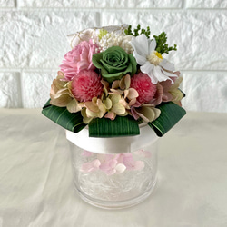 定番グリーンのミニツリー/ガラスドーム クリスマス クリスマスツリー