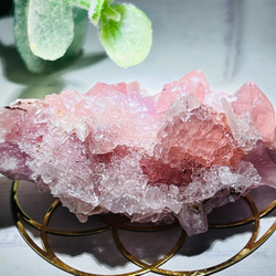 希少】結晶体 ローズクォーツ クラスター 紅水晶 原石 その他置物 東洋