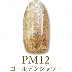 【ＰＭ１２】白金プラチナの輝き　最新型スパークリングラメジェル　超微粒子 1枚目の画像