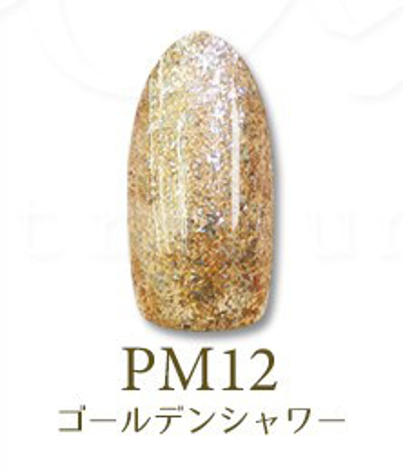 【ＰＭ１２】白金プラチナの輝き　最新型スパークリングラメジェル　超微粒子 1枚目の画像