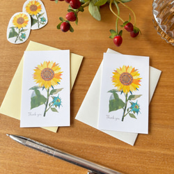 7月頃の花ポストカードセット ポストカード tomocollage 通販