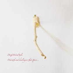 流木インテリア ６０ｃｍの流木枝を使った小鳥の止まり木 インコの壁掛けパーチ ピン止めタイプ ビス止め変更可 N131 6枚目の画像