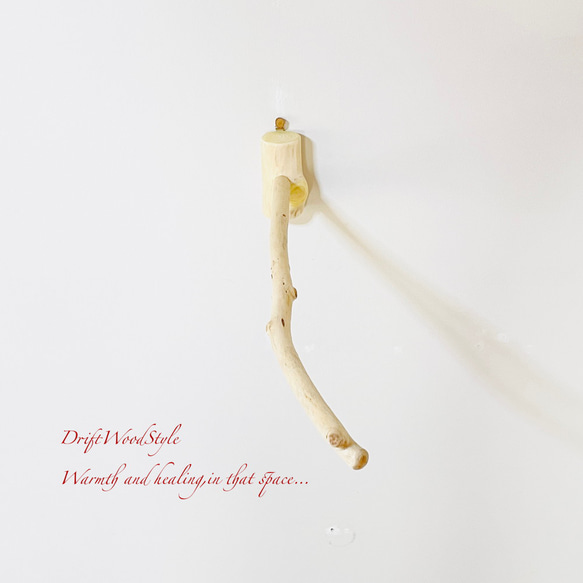 流木インテリア ６０ｃｍの流木枝を使った小鳥の止まり木 インコの壁掛けパーチ ピン止めタイプ ビス止め変更可 N131 6枚目の画像