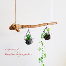 流木インテリア コブのある天然流木のハンガー フック無し 流木ハンガー ハンギング 北欧 N5 2枚目の画像