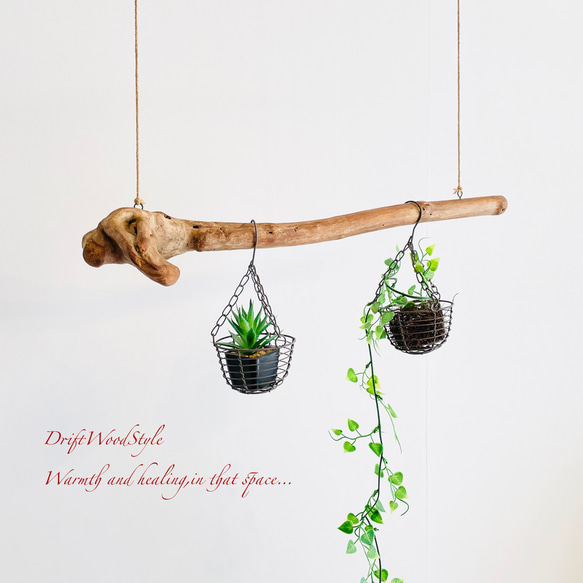 流木インテリア コブのある天然流木のハンガー フック無し 流木ハンガー ハンギング 北欧 N5 2枚目の画像