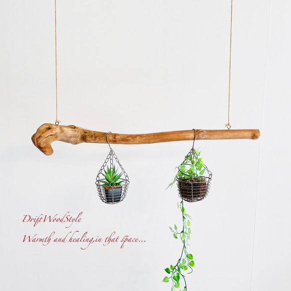 流木インテリア コブのある天然流木のハンガー フック無し 流木ハンガー ハンギング 北欧 N5 1枚目の画像
