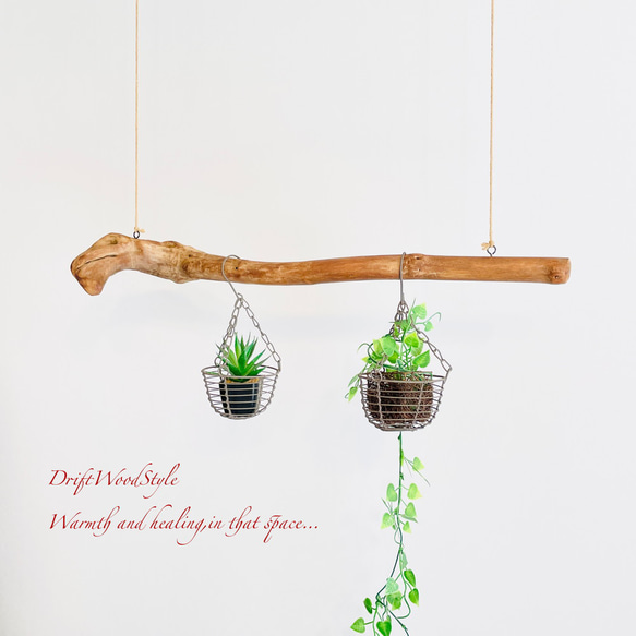 流木インテリア コブのある天然流木のハンガー フック無し 流木ハンガー ハンギング 北欧 N5 3枚目の画像