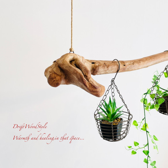 流木インテリア コブのある天然流木のハンガー フック無し 流木ハンガー ハンギング 北欧 N5 4枚目の画像