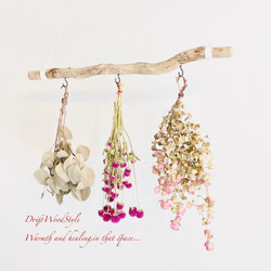 流木インテリア 無骨で古木風な天然流木のハンガーフック 流木ハンガー ハンギング ウォールデコ 北欧 N30 3枚目の画像