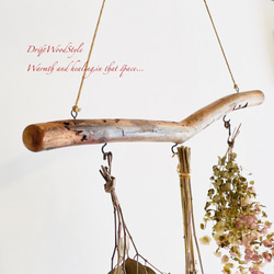 流木インテリア 無骨で古木風な天然流木のハンガーフック 流木ハンガー ハンギング ウォールデコ 北欧 N31 4枚目の画像