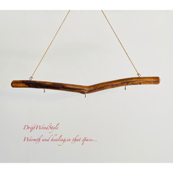 流木インテリア 無骨で古木風な天然流木のハンガーフック 流木ハンガー ハンギング ウォールデコ 北欧 N31 5枚目の画像