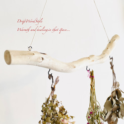 流木インテリア 無骨で古木風な天然流木のハンガーフック 流木ハンガー ハンギング ウォールデコ 北欧 N32 4枚目の画像