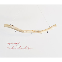 流木インテリア 無骨で古木風な天然流木のハンガーフック 流木ハンガー ハンギング ウォールデコ 北欧 N32 5枚目の画像