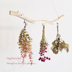 流木インテリア 無骨で古木風な天然流木のハンガーフック 流木ハンガー ハンギング ウォールデコ 北欧 N32 2枚目の画像