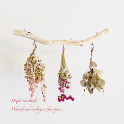 流木インテリア 無骨で古木風な天然流木のハンガーフック 流木ハンガー ハンギング ウォールデコ 北欧 N32 1枚目の画像