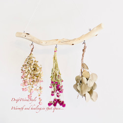 流木インテリア 無骨で古木風な天然流木のハンガーフック 流木ハンガー ハンギング ウォールデコ 北欧 N32 3枚目の画像