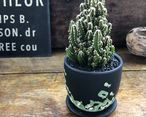 9fe77df94027ba4e23e0f7c72976da