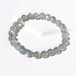 【美品】　ホワイトシェル　ブレスレット WHITE SHELL BRACELET(ホワイトシェルブレスレット)｜ COLOR