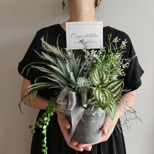 多種類のグリーンアレンジメント 観葉植物 男前インテリア 多肉植物