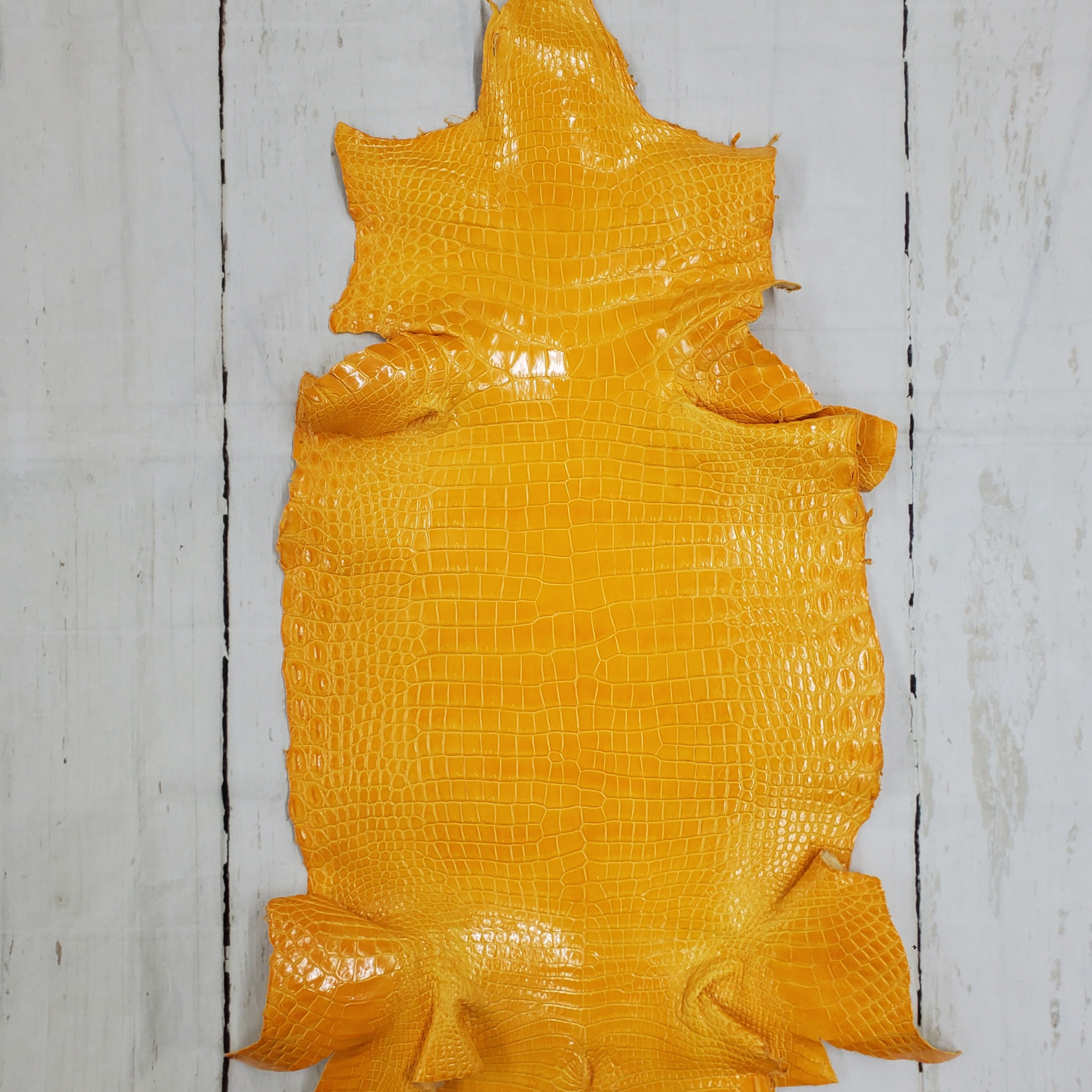 ワニ革 クロコ グレージング仕上げ  サンフラワー(白鞣し) No.C008623