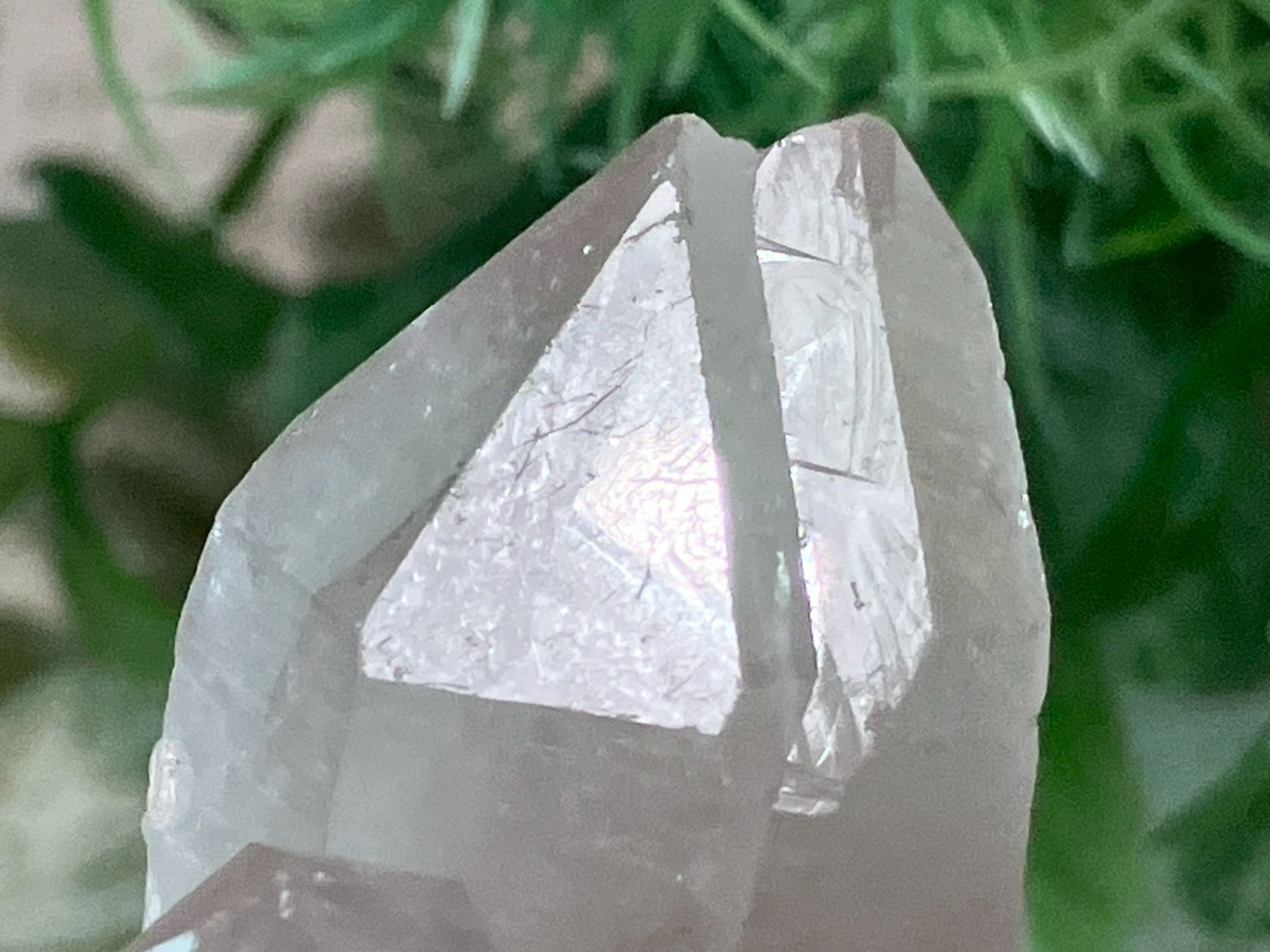 星の種✴︎ タントリックツイン　イシス　バーナクル マスタークリスタル　水晶