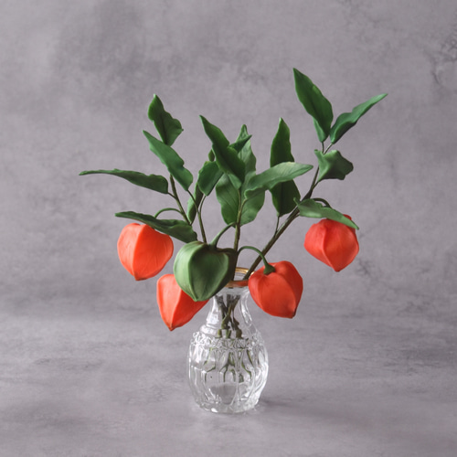 油彩画 植物の花ホオヅキ 油彩画 植物の花ホオヅキ 油彩画 植物の花ホオヅキ Amazon.co.jp: ほおずき