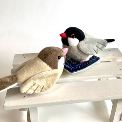 オーダー受け付け 文鳥 羊毛フェルト 羊毛フェルト クリぱん 通販