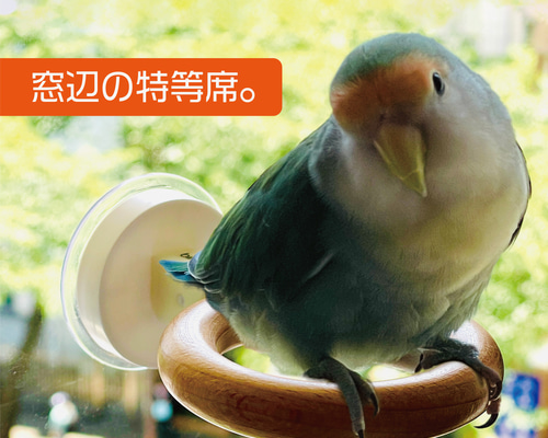 dbef2a66c099690a26afbef2839e76