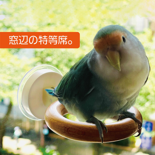 まどり木】窓辺の止まり木 ガラス面に取り付け可能なとまり木です