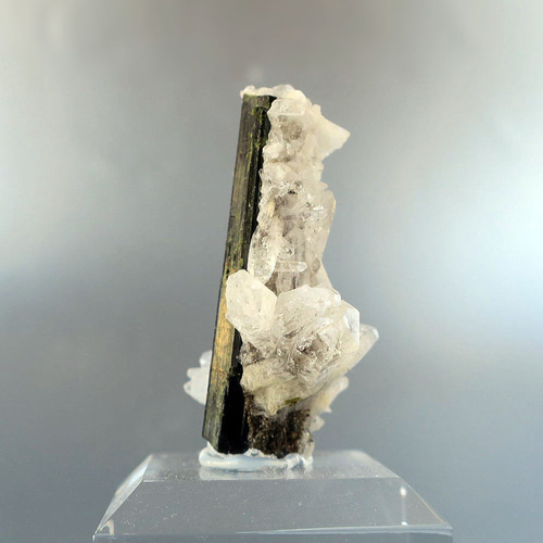 ショール（トルマリン）＋水晶｜原石・鉱物｜天然石コレクション 秋の