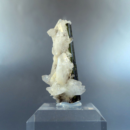 ショール（トルマリン）＋水晶｜原石・鉱物｜天然石コレクション 秋の