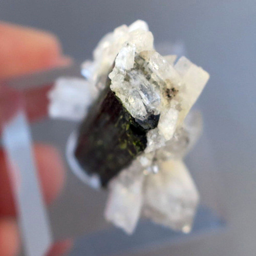 ショール（トルマリン）＋水晶｜原石・鉱物｜天然石コレクション 秋の