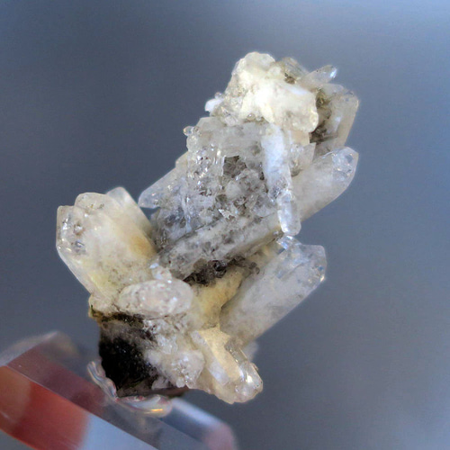 ショール（トルマリン）＋水晶｜原石・鉱物｜天然石コレクション 秋の