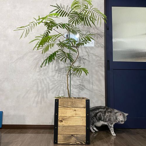 プランターカバーキャスター付き 天然木や人工木のウッドデッキセット