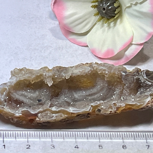 レース柄瑪瑙 龍穴アゲート ジオード ドゥルージークォーツ 原石 晶洞