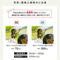 P33 写真入り フェイスタオル《SNS風デザイ(名入れタオル オリジナルタオル 記念品  フルカラー インスタ風 11枚目の画像