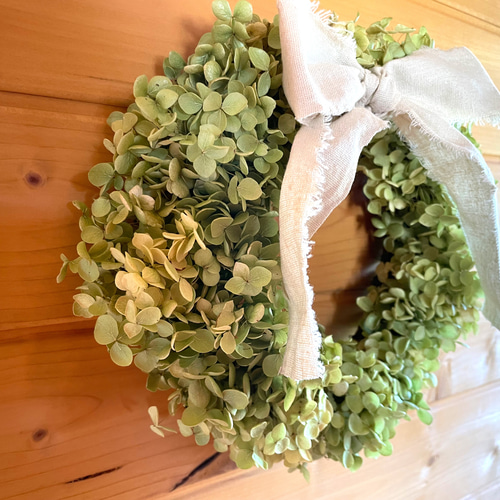 アナベルリース 秋色アナベルとレッドブルニアのドライフラワーリース | 月光堂螢工房