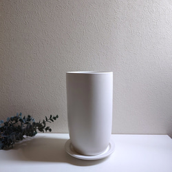 ●数量限定●　大きめ美樹形　白木　希少　”フィカス・ベンガレンシス（曲げ木）ロング陶器鉢カバー/受け皿セット”　観葉植物 7枚目の画像