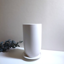 ●数量限定●　大きめ美樹形　白木　希少　”フィカス・ベンガレンシス（曲げ木）ロング陶器鉢カバー/受け皿セット”　観葉植物 5枚目の画像