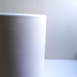 ●数量限定●　大きめ美樹形　白木　希少　”フィカス・ベンガレンシス（曲げ木）ロング陶器鉢カバー/受け皿セット”　観葉植物 6枚目の画像