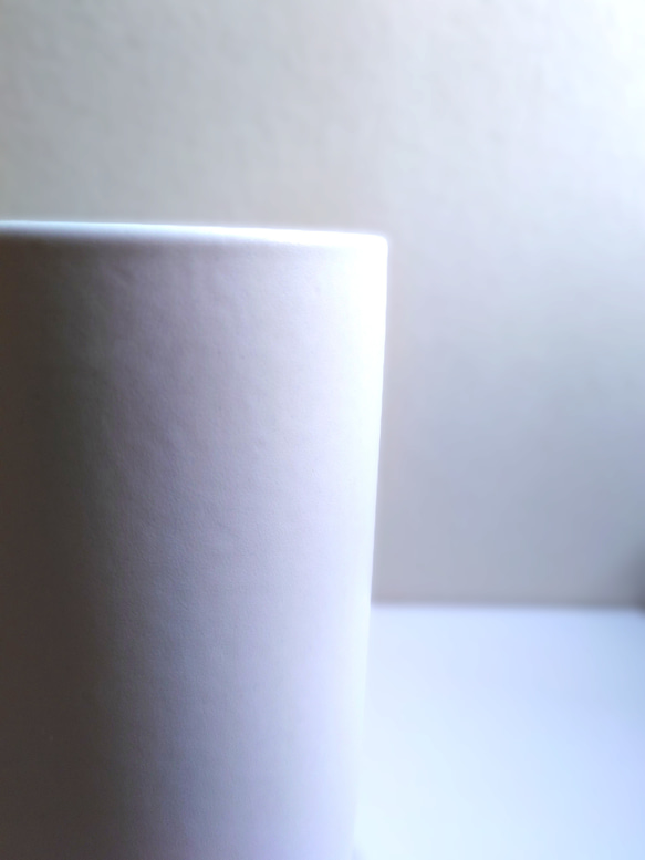 ●数量限定●　大きめ美樹形　白木　希少　”フィカス・ベンガレンシス（曲げ木）ロング陶器鉢カバー/受け皿セット”　観葉植物 6枚目の画像