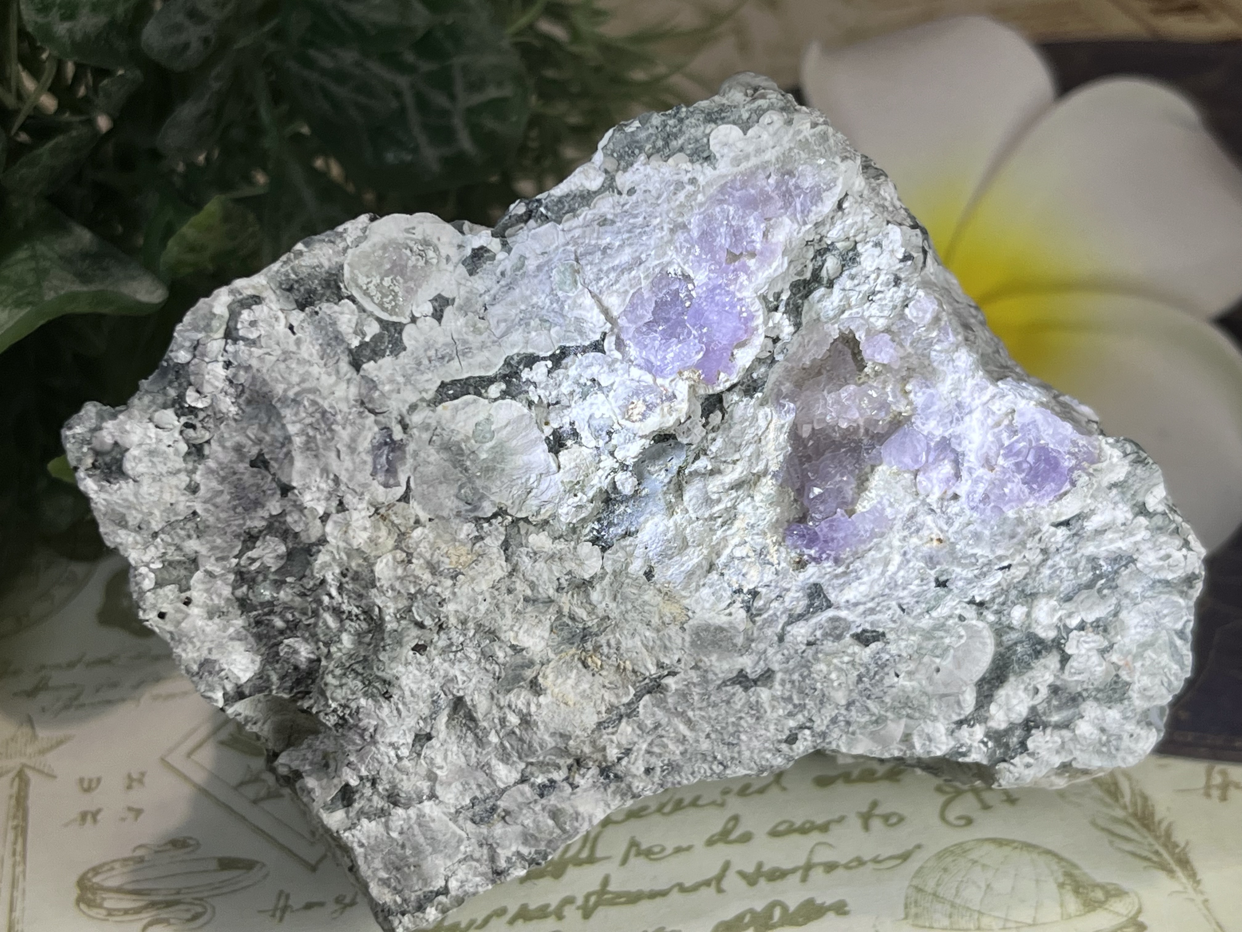 かぐや姫水晶☪︎⋆˚ 福島県産　アメジスト　紫水晶　ラフストーン　原石