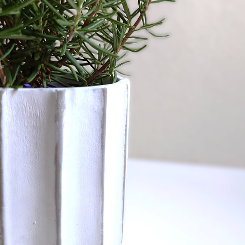 ローズマリー様 確認用 ○数量限定○新作○ 虫除け ”ローズマリー オフホワイト鉢カバー